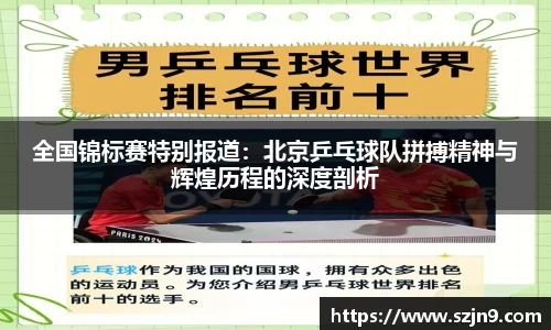全国锦标赛特别报道：北京乒乓球队拼搏精神与辉煌历程的深度剖析
