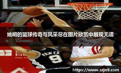 姚明的篮球传奇与风采尽在图片欣赏中展现无遗