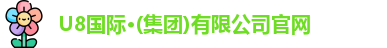 U8国际·(集团)有限公司官网